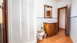 a bathroom with a toilet and a sink and a mirror at HolidaynorthTenerife Caserío Rural Los Charcos in Icod de los Vinos