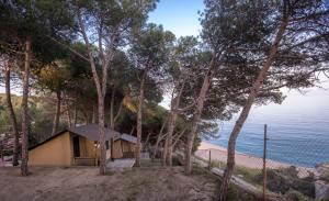 una pequeña casa en la playa con árboles en Càmping Kanguro, en Sant Pol de Mar