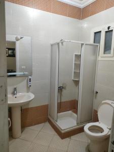 a bathroom with a shower and a toilet and a sink at Hurghada Dreams in Hurghada +30 photos