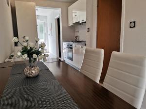 Kuchyň nebo kuchyňský kout v ubytování Apartments Dumencic Rab