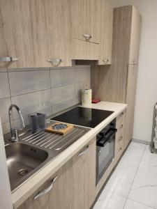 una cucina con lavandino e piano cottura forno superiore di GUVANO Luxury Apartments a La Spezia