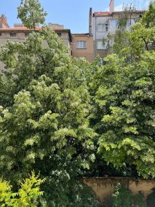 Taman di luar HOME 12