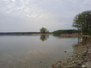 a large body of water with trees in the background at Domek wypoczynkowy nad Jez. Dadaj in Biskupiec