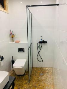 a bathroom with a toilet and a glass shower stall at Casa del Aire - Patio Apartment in Maella