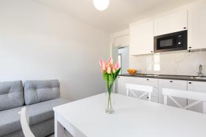 Kuchyňa alebo kuchynka v ubytovaní Brand new apartments Viktorija just 250m from the beach!