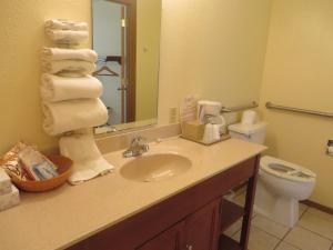een badkamer met een wastafel, een toilet en een spiegel bij Honeysuckle Inn in Mountain View