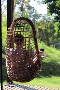 un pájaro está sentado en una jaula de pájaro en Cabana em meio a natureza com piscina., en Rodeio