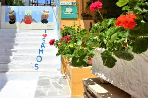 a group of potted plants and flowers on a wall at Samaina in Pythagoreio