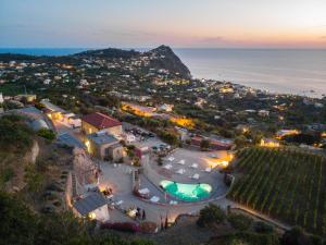 een luchtzicht op een wijngaard 's nachts met de oceaan bij Tenuta C'est la Vie in Ischia