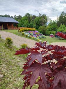 Zahrada ubytování ROZTOCZE, Domek Na Leśnym Wzgórzu, Zwierzyniec, Krasnobród,Zamość