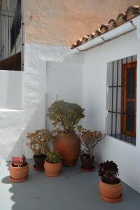 Φωτογραφία από το άλμπουμ του Encantadora casa con terraza a un minuto de la playa στην Αλτέα
