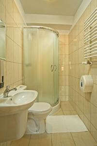 La salle de bains est pourvue de toilettes, d'un lavabo et d'une douche. dans l'établissement Margo Bukowiec koło Karpacza, à Bukowiec