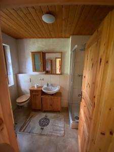 a bathroom with a sink and a toilet at Jagdhaus auf dem Forsthof mit Sauna in Eckartsberga