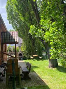 a park with a bench and a tree at Jagdhaus auf dem Forsthof mit Sauna in Eckartsberga