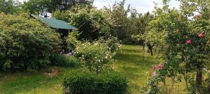 un jardín con árboles y flores y un techo verde en Private House 9 en Berehove