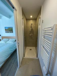 a bathroom with a shower and a bed in a room at Gites La Ville Pain in Cancale
