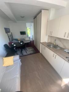 Kuchyňa alebo kuchynka v ubytovaní Apartamenty nad jeziorem charzykowskim Villa Emilia