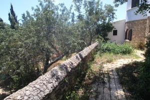 a stone wall next to a building and trees at Casa do Milho in Carvoeiro