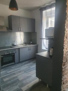 een keuken met grijze kasten en een fornuis met oven bij Bienvenue chez les ch'oups le loft 50 m2 in La Bourboule