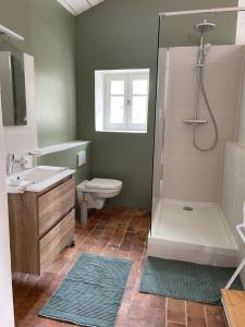 a bathroom with a shower and a toilet and a sink at Le Petit Egregore, patio et climatisation in Lauris