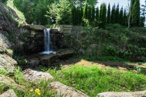 Príroda v okolí apartmánu