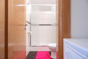 a bathroom with a shower and a toilet with a pink rug at Villa Fio - Rooms & Studio in Hvar