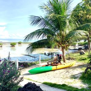 ein gelbes und grünes Boot am Strand mit einer Palme in der Unterkunft Toliz Beach House -Sipaway Island San Carlos City in San Juan