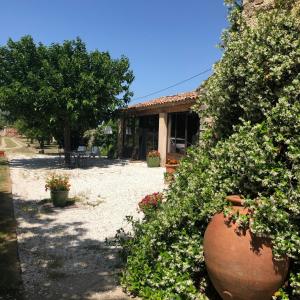 un jardín con flores frente a una casa en charmant loft à la campagne en Cavaillon