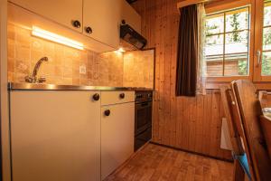 Residenz Edelweiss SAAS320 في Saas-Balen: مطبخ مع مغسلة وموقد