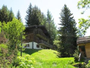 una casa en la cima de una colina con árboles en Chalet Nouchka VERB120, en Verbier
