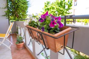 Balkón alebo terasa v ubytovaní Secret Garden 76 sq.m. apartment close to city center