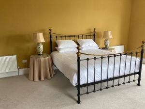 1 dormitorio con 1 cama grande y 2 lámparas en Inver, en Cobh
