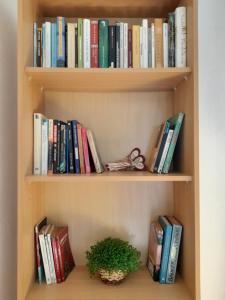 une étagère remplie de livres et d'une plante en pot dans l'établissement La ReStanza, à Pula