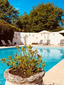 uma piscina com cadeiras e uma planta ao lado em 4 Saisons en Provence em Saint-Paul-en-Forêt