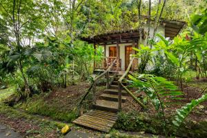 Zahrada ubytování Rancho Margot Sustainable & Self Sufficient Eco Lodge