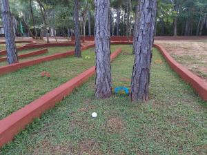 Vrt pred nastanitvijo El Paraje Camping