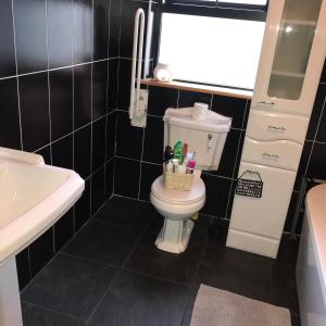 a bathroom with a toilet and a sink at Pat's Place in Ballaghaderreen