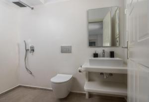 La salle de bains est pourvue de toilettes, d'un lavabo et d'un miroir. dans l'établissement Natalie's apartments, à Adamas
