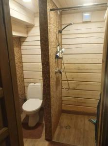 La salle de bains est pourvue d'une douche et de toilettes. dans l'établissement Nuomojama sodyba su pirtimi Rokiškio rajonas , Aukštakalnių kaimas ,Jaunystės gatvė 19, à Kuosiai