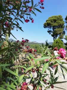 vistas a un jardín con flores y un árbol en North Evia Kiki's house en Kourkouloí