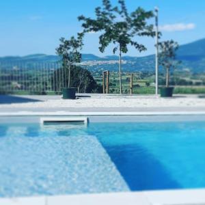 Agriturismo Incanto della Natura内部或周边的泳池