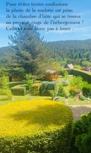 una citazione su un giardino fiorito con una casa sullo sfondo di L’hippocampe a Wangenbourg