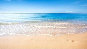 Příroda nedaleko prázdninového domu