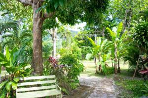 a white bench sitting under a tree in a garden at Sinopia Inn in Port Antonio