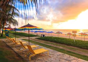 嘎林海斯港的住宿－波爾圖嘎林海斯村莊酒店，海滩上一排椅子和遮阳伞