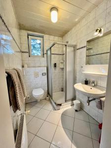 ein Bad mit einer Dusche, einem WC und einem Waschbecken in der Unterkunft Das Landhotel zur Mühle in Münster