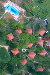 an aerial view of a park with trees and a pool at Kabalega Resort - Hoima in Hoima