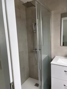 a shower with a glass door in a bathroom at Le 33 le Haut in Belfort
