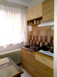 a kitchen with a stove and a sink and a window at Sandrea I Apartment in Subotica