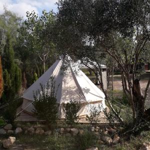 a white tent in a field with trees at Pachamama ecocamping in Alborache